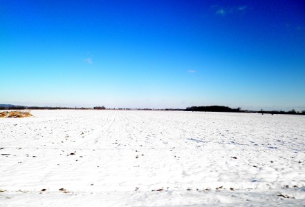 Alone in a vast Snowy Field - Social Media Isolation